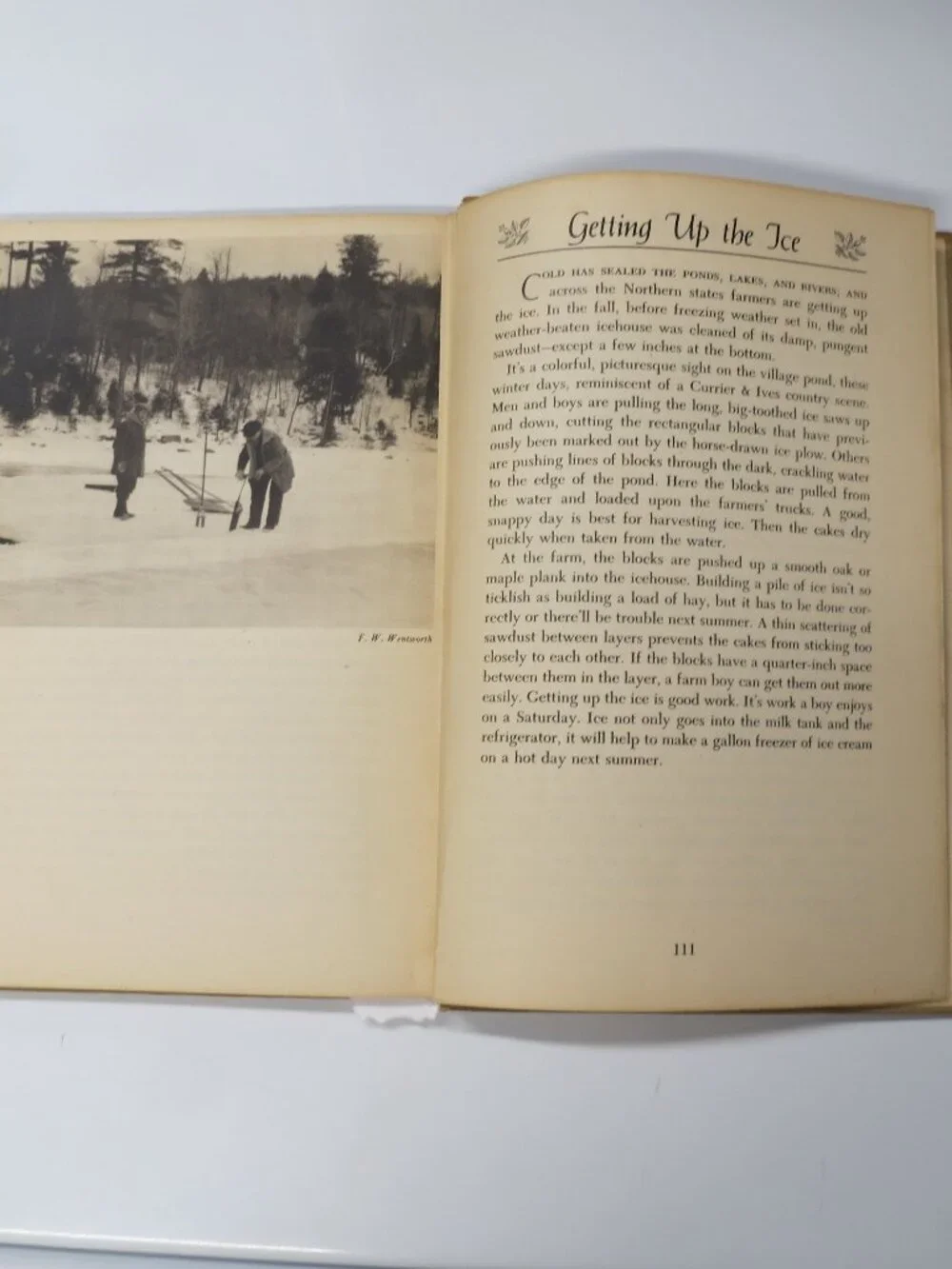 1945 Country Flavor by Haydn Pearson 1st ed 1st printing HC Traditions Rural